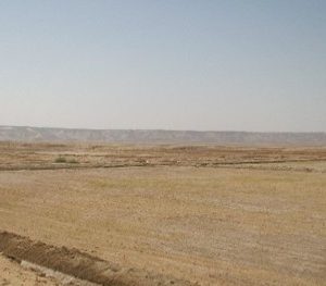 أرض فضاء مساحته 38,000 متر مربع -بالعين السخنه