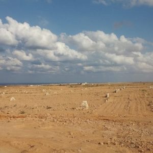 قطعة ارض متميزة للبيع كاش في مدينة سفنكس الجديدة بمساحه 119 فدان