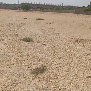 ارض تخصيص 5000 متر مربع للمشاركة أو البيع - رخصه مركز صيانه ومعرض سيارات بالمعادي .