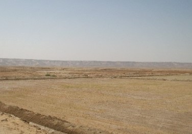 أرض فضاء مساحته 38,000 متر مربع -بالعين السخنه