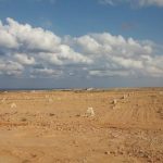 قطعة ارض متميزة للبيع كاش في مدينة سفنكس الجديدة بمساحه 119 فدان