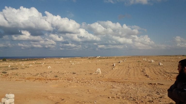 قطعة ارض متميزة للبيع كاش في مدينة سفنكس الجديدة بمساحه 119 فدان